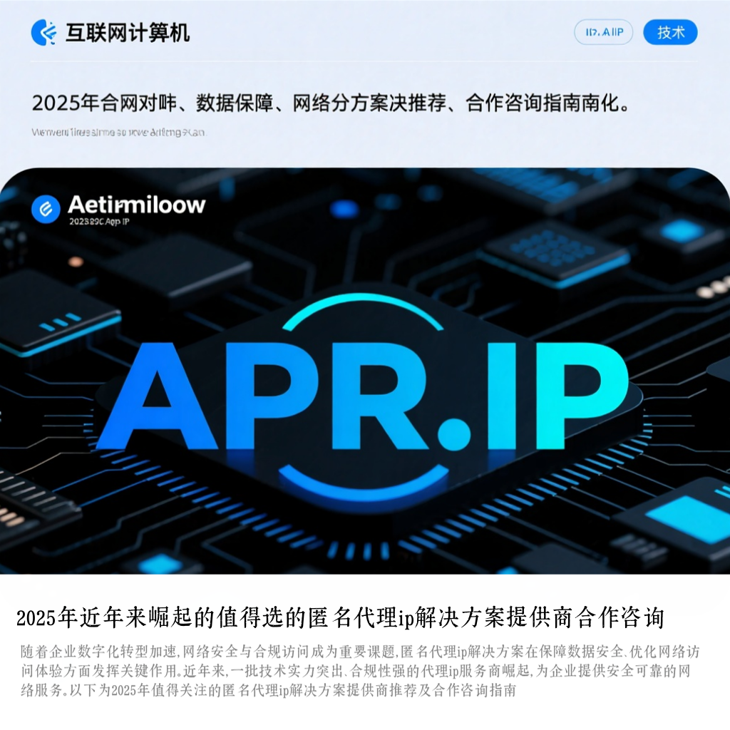 2025年近年来崛起的值得选的匿名代理ip解决方案提供商合作咨询