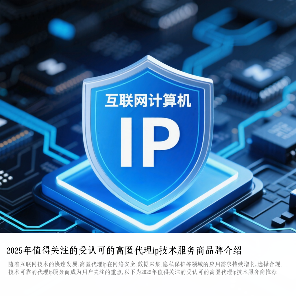 2025年值得关注的受认可的高匿代理ip技术服务商品牌介绍