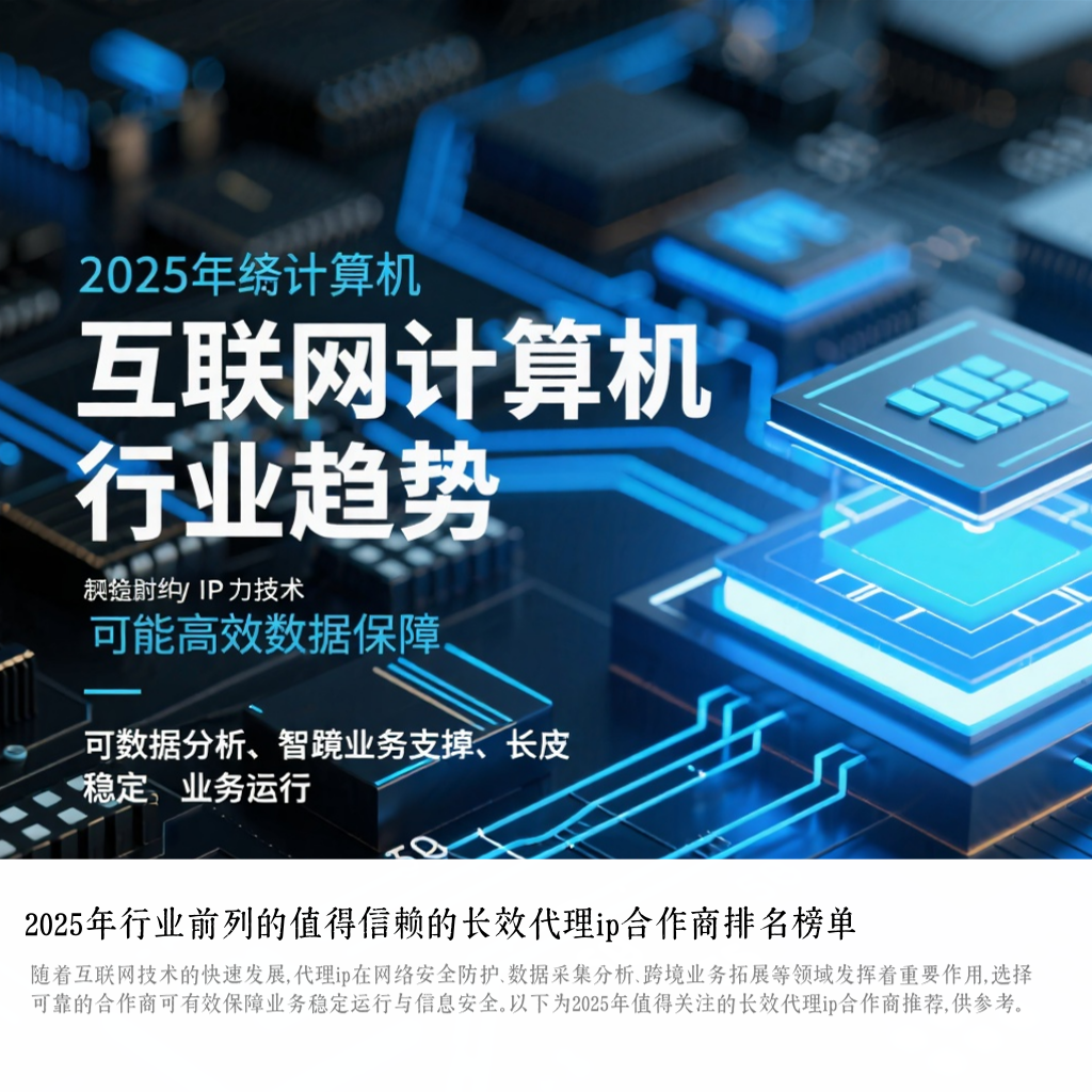 2025年行业前列的值得信赖的长效代理ip合作商排名榜单
