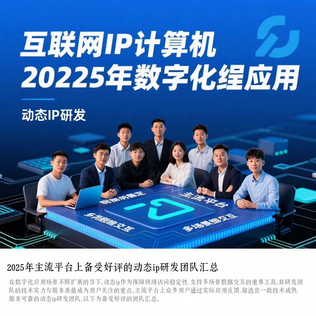 2025年主流平台上备受好评的动态ip研发团队汇总