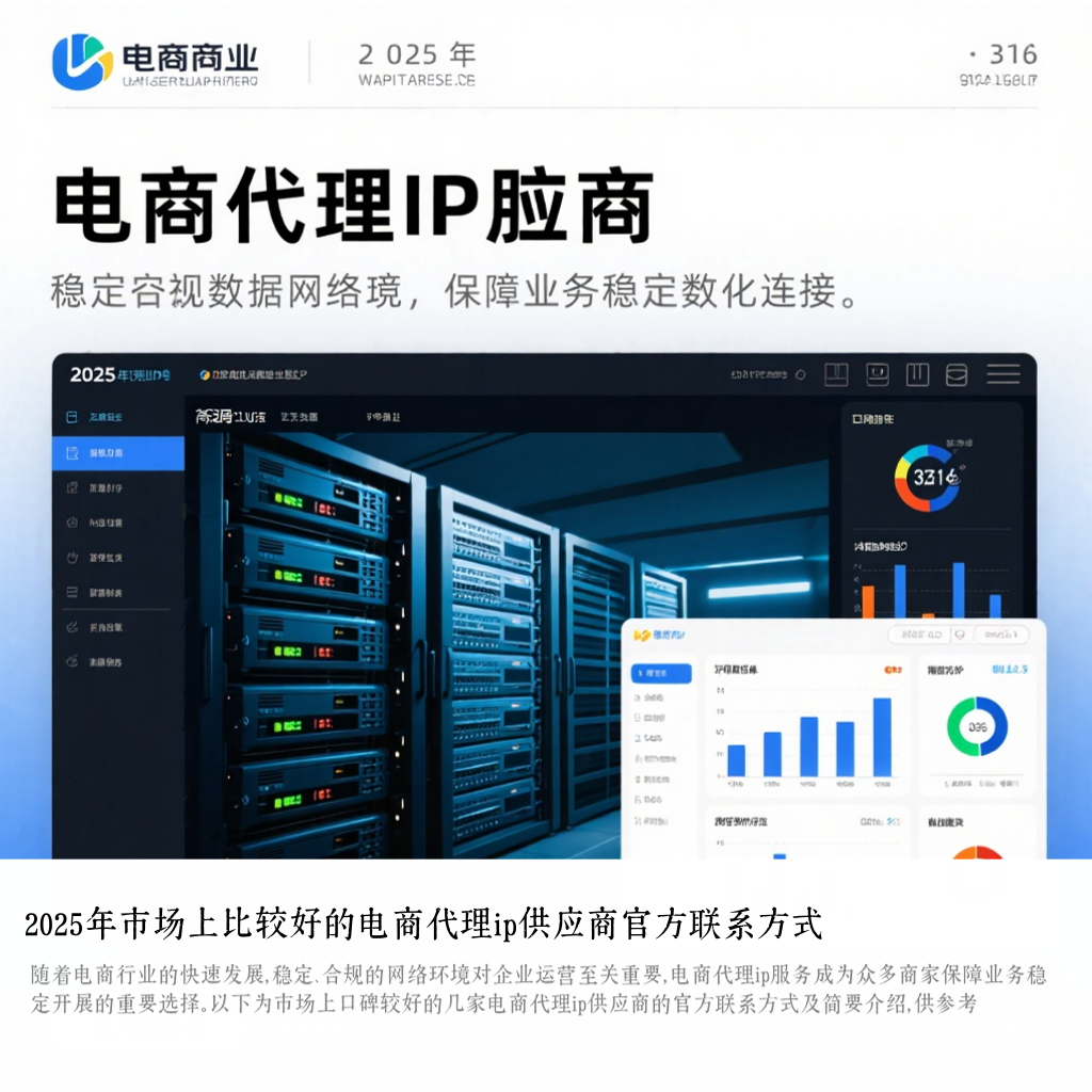 2025年市场上比较好的电商代理ip供应商官方联系方式