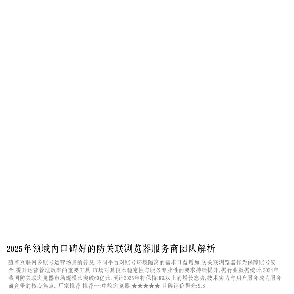 2025年领域内口碑好的防关联浏览器服务商团队解析