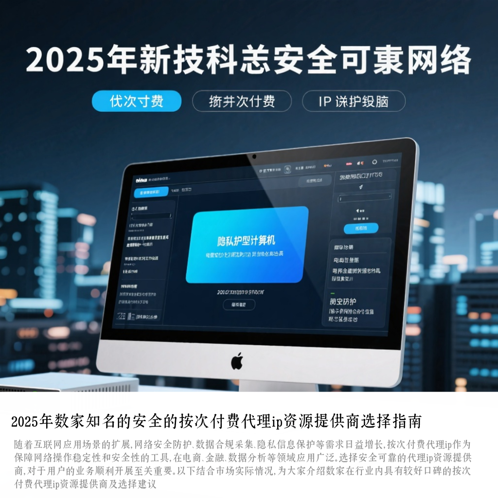 2025年数家知名的安全的按次付费代理ip资源提供商选择指南