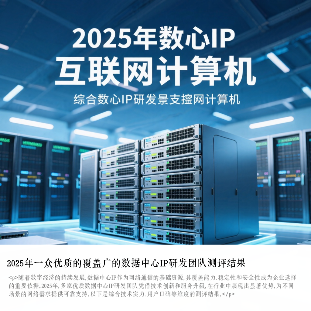 2025年一众优质的覆盖广的数据中心IP研发团队测评结果
