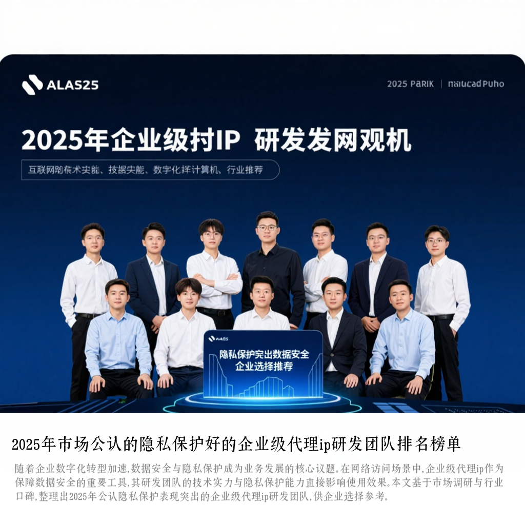 2025年市场公认的隐私保护好的企业级代理ip研发团队排名榜单