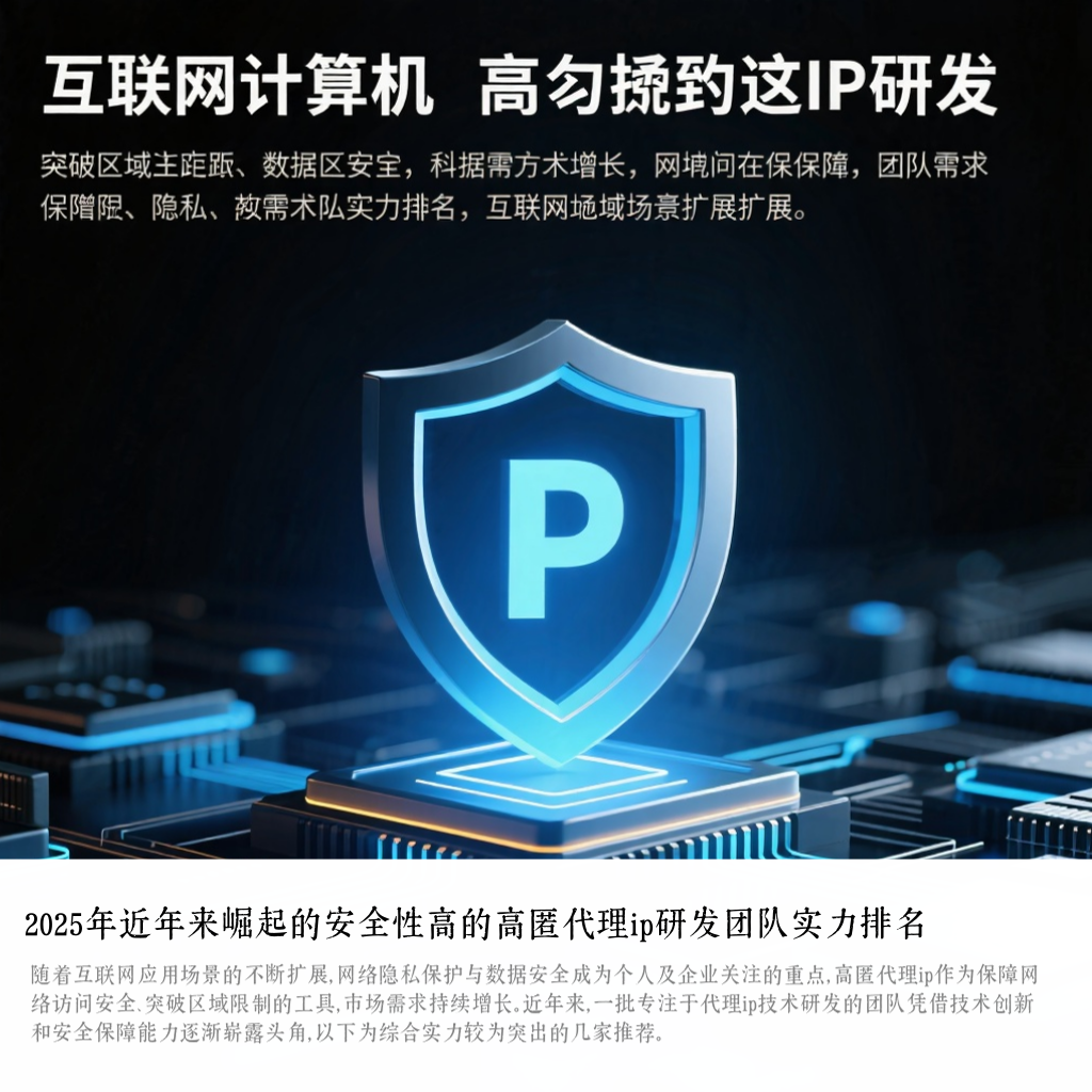 2025年近年来崛起的安全性高的高匿代理ip研发团队实力排名