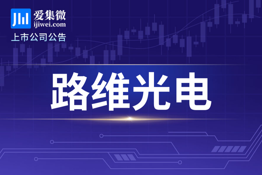 路维光电披露A股发行报告